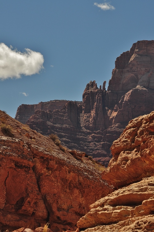 Lower Cathedral Wash